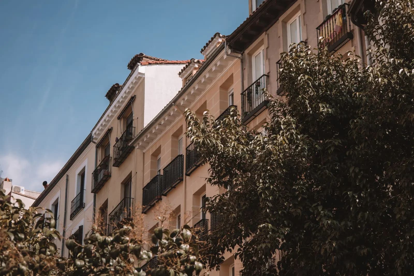 Edificio de viviendas con balcones entre árboles en una calle de Madrid