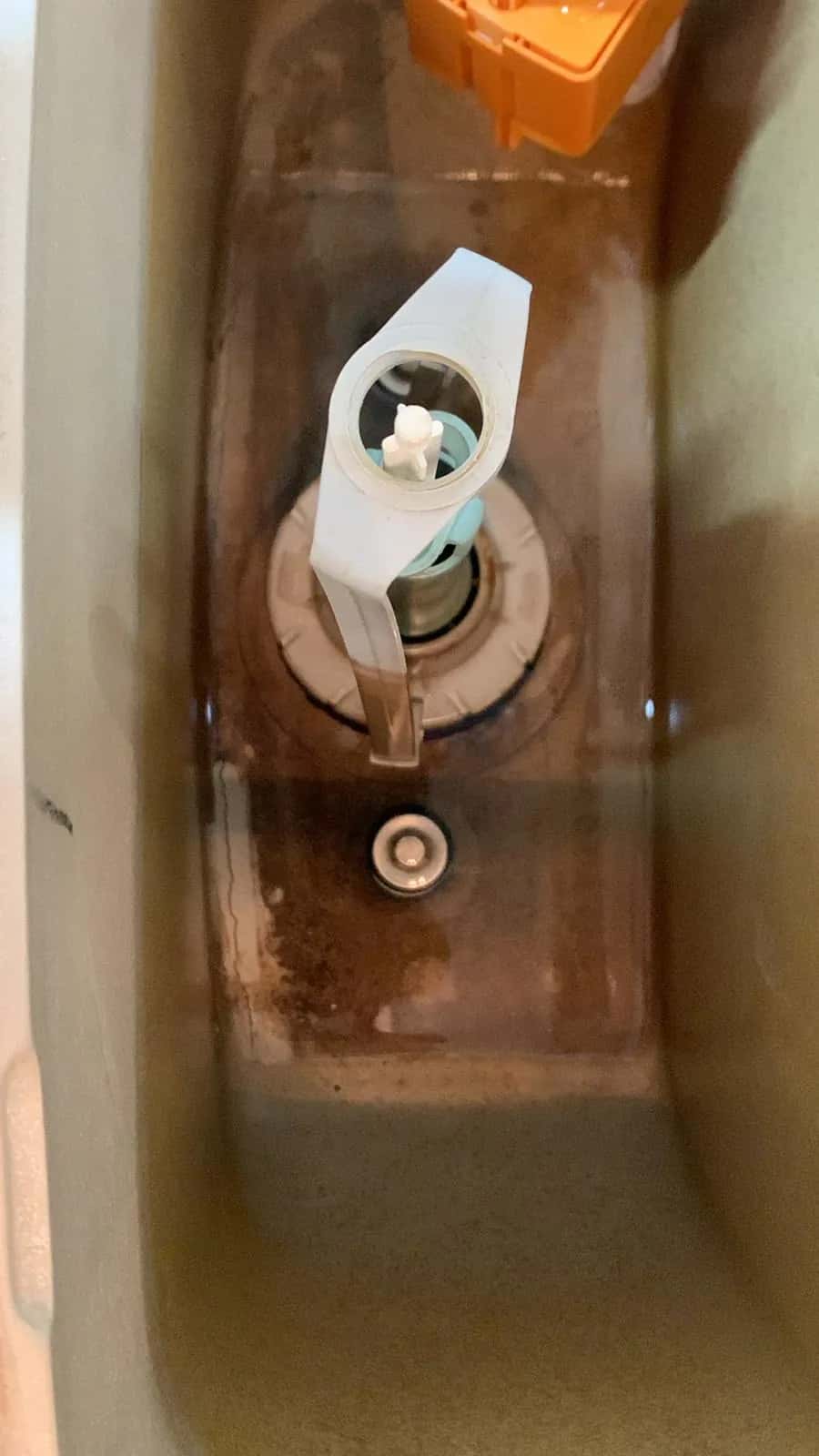 Interior de una cisterna con el mecanismo de descarga y restos de cal