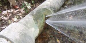 Consejos para ahorrar agua en Madrid Servicio de fontaneros urgentes en Madrid las 24 horas